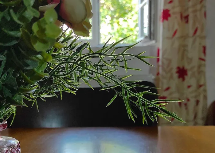 マウルスハウス